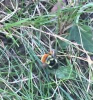 View photo in a new window