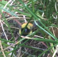 View photo in a new window