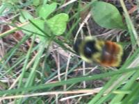 View photo in a new window