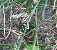 View photo in a new window