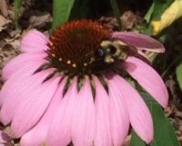 View photo in a new window