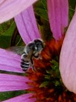 View photo in a new window