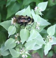 View photo in a new window