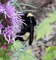 View photo in a new window