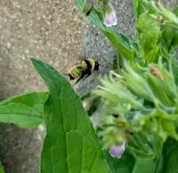 View photo in a new window