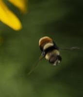 View photo in a new window