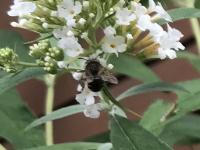 View photo in a new window