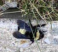 View photo in a new window