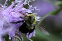 View photo in a new window