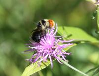 View photo in a new window