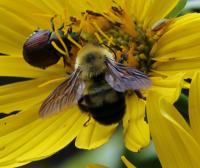 View photo in a new window