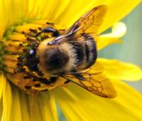 View photo in a new window