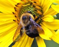 View photo in a new window