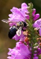 View photo in a new window