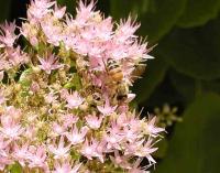 View photo in a new window