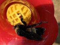 View photo in a new window