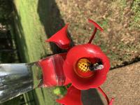 View photo in a new window