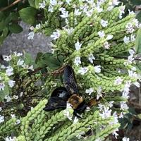 View photo in a new window