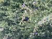 View photo in a new window