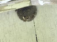 View photo in a new window