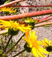 View photo in a new window