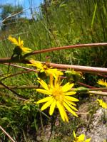 View photo in a new window