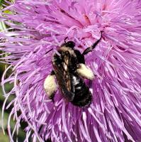 View photo in a new window