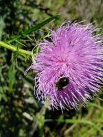 View photo in a new window