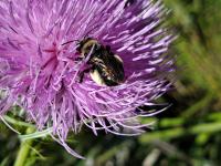 View photo in a new window