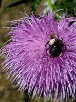 View photo in a new window