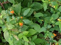 View photo in a new window