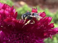 View photo in a new window