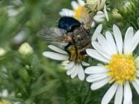 View photo in a new window