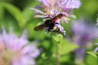 View photo in a new window