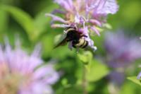 View photo in a new window