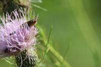 View photo in a new window