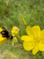 View photo in a new window