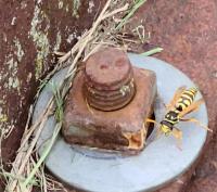 View photo in a new window