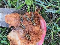 View photo in a new window