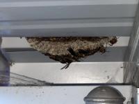 View photo in a new window