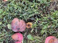 View photo in a new window