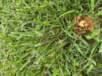 View photo in a new window