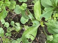 View photo in a new window