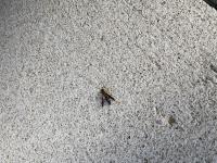 View photo in a new window