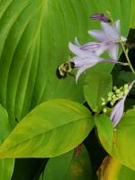 View photo in a new window