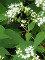 View photo in a new window