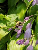 View photo in a new window