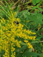 View photo in a new window