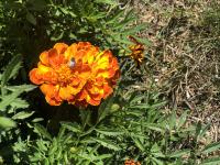 View photo in a new window