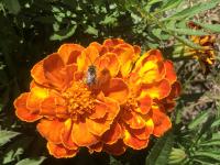 View photo in a new window